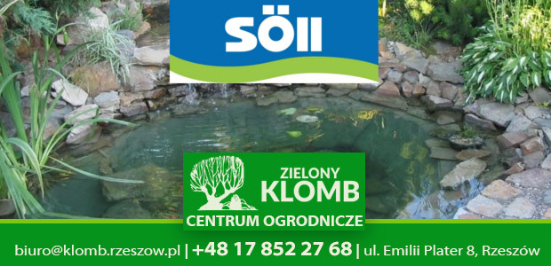 Chemia do oczka wodnego